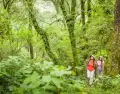 En verano, el norte argentino cambia su paisaje y se vuelve m�s verde y din�mico.