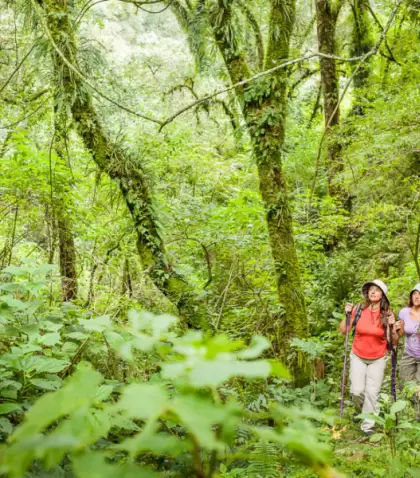 En verano, el norte argentino cambia su paisaje y se vuelve m�s verde y din�mico.