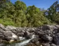 En verano, Tucum�n combina cerros verdes, tradici�n y una identidad cultural muy marcada.