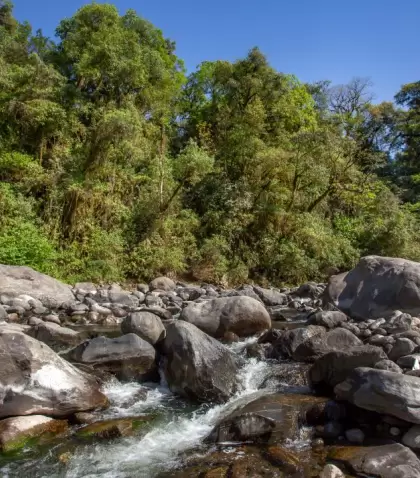 En verano, Tucum�n combina cerros verdes, tradici�n y una identidad cultural muy marcada.