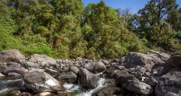 En verano, Tucum�n combina cerros verdes, tradici�n y una identidad cultural muy marcada.