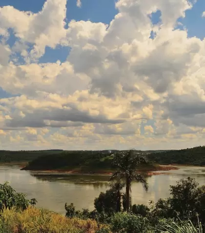 En verano, la naturaleza del Litoral argentino alcanza su m�xima intensidad.