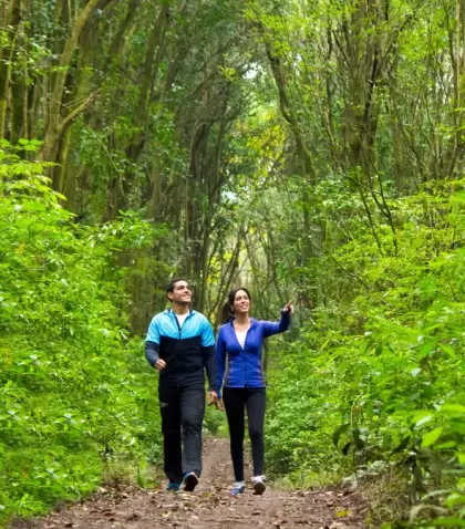 Tucum�n en oto�o ofrece paisajes verdes de cerros y valles.