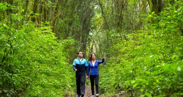 Tucum�n en oto�o ofrece paisajes verdes de cerros y valles.
