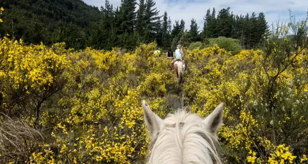Las mujeres viajeras en Argentina redefinen el concepto del turismo.