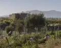 Semana Santa en Mendoza se disfruta entre vi�edos y cordillera.