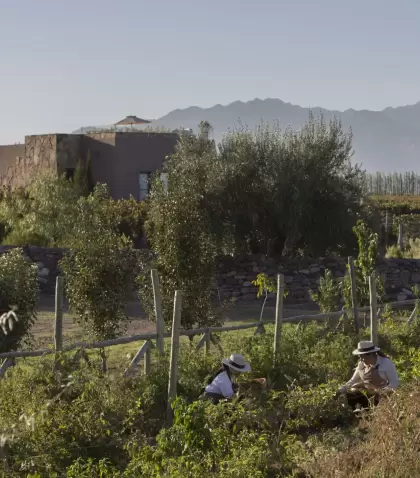 Semana Santa en Mendoza se disfruta entre vi�edos y cordillera.
