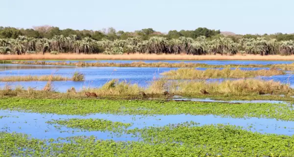 Corrientes es una buena oportunidad para combinar celebraciones tradicionales con naturaleza.