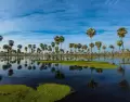 Formosa se vive con ritmo pausado, encuentros comunitarios y escapadas a entornos naturales.
