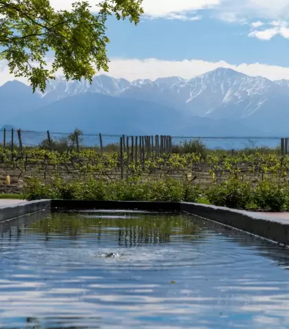 Las bodegas de Mendoza forman parte de uno de los circuitos tur�sticos m�s importantes del pa�s.