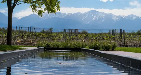 Las bodegas de Mendoza forman parte de uno de los circuitos tur�sticos m�s importantes del pa�s.