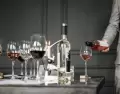 La ruta del vino en Mendoza es una experiencia integral que va mucho m�s all� de la degustaci�n.