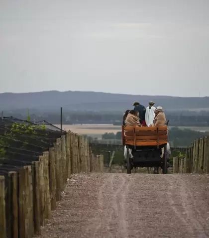Adem�s del vino, Mendoza tambi�n es famosa por sus paisajes cordilleranos.