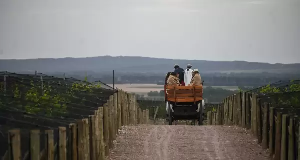 Adem�s del vino, Mendoza tambi�n es famosa por sus paisajes cordilleranos.