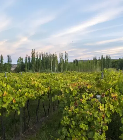 Los pueblos cerca de Mendoza ofrecen paseos rodeados de vi�edos y monta�as.
