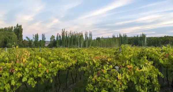 Los pueblos cerca de Mendoza ofrecen paseos rodeados de vi�edos y monta�as.