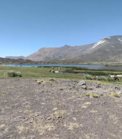 Los lugares poco conocidos de Mendoza aparecen en valles escondidos, rutas de monta�a menos transitadas y reservas naturales.