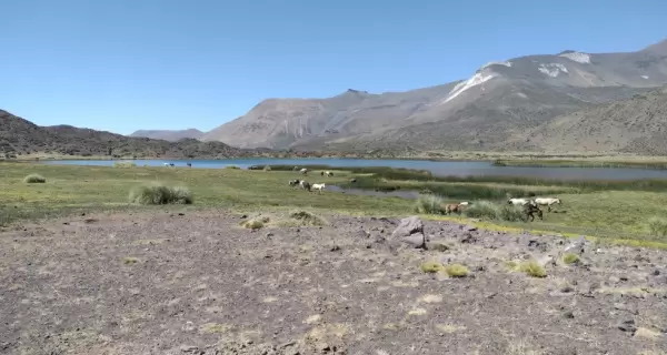 Los lugares poco conocidos de Mendoza aparecen en valles escondidos, rutas de monta�a menos transitadas y reservas naturales.