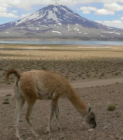 Los rincones naturales de Mendoza sorprenden con volcanes, lagunas, ca�ones y paisajes �nicos.