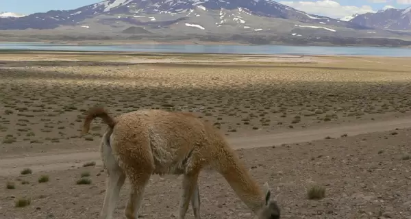 Los rincones naturales de Mendoza sorprenden con volcanes, lagunas, ca�ones y paisajes �nicos.