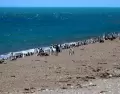 Destinos donde el paisaje domina.