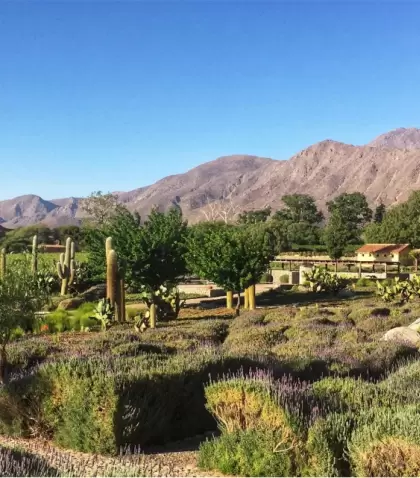 Los pueblos rurales de Argentina ofrecen experiencias con paisajes tranquilos.