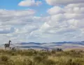Los paseos de oto�o en Argentina son ideales para recorrer senderos y paisajes naturales.