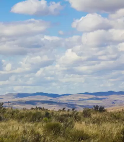 Los paseos de oto�o en Argentina son ideales para recorrer senderos y paisajes naturales.