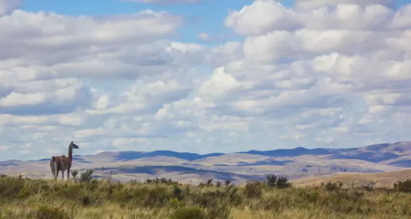 Los paseos de oto�o en Argentina son ideales para recorrer senderos y paisajes naturales.