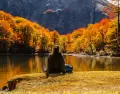 Los paisajes de oto�o en la Patagonia se ti�en de amarillo y naranja gracias a su vegetaci�n.