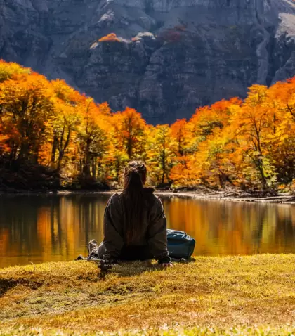 Los paisajes de oto�o en la Patagonia se ti�en de amarillo y naranja gracias a su vegetaci�n.