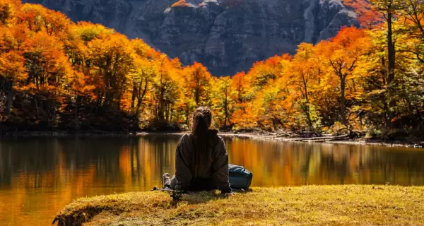 Los paisajes de oto�o en la Patagonia se ti�en de amarillo y naranja gracias a su vegetaci�n.