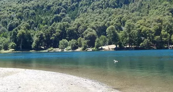 Los lagos patag�nicos ofrecen postales �nicas.