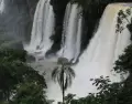 Iguaz� amerita organizar el viaje con l�gica para disfrutar de sus paseos y excursiones.