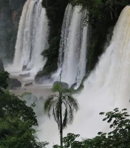 Iguaz� amerita organizar el viaje con l�gica para disfrutar de sus paseos y excursiones.