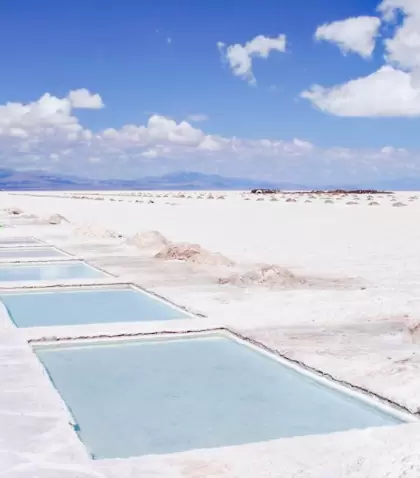En la excursi�n a Salinas Grandes el camino tiene tanto peso como la llegada.