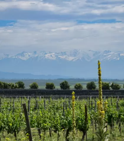 Mendoza es un destino flexible.