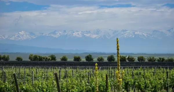 Mendoza es un destino flexible.