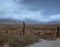 Salta en mayo ofrece buen clima y paisajes para descubrir.