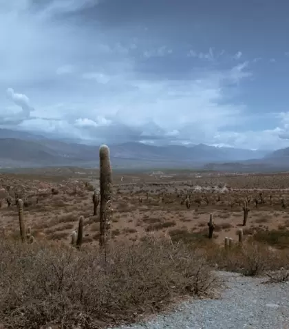 Salta en mayo ofrece buen clima y paisajes para descubrir.
