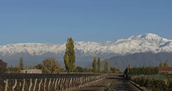 Gu�a de bodegas econ�micas en Mendoza