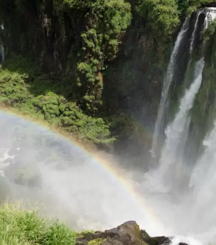 Visitar las Cataratas del Iguaz� temprano permite conectar mejor con el entorno.