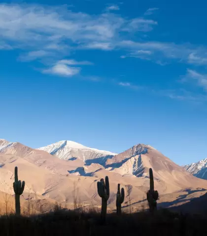 Junio se convirti� en uno de los mejores momentos para recorrer Salta.