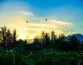En invierno, algunos lugares muestran una versi�n mucho m�s calma .