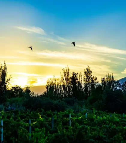 En invierno, algunos lugares muestran una versi�n mucho m�s calma .