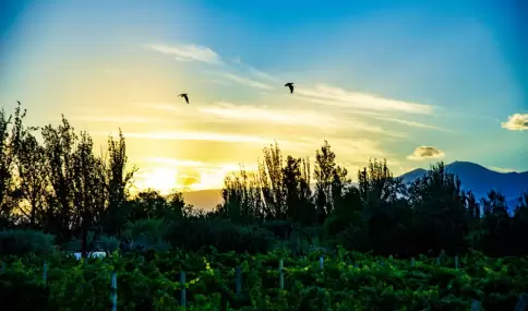 En invierno, algunos lugares muestran una versi�n mucho m�s calma .