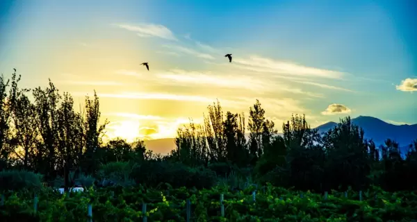 En invierno, algunos lugares muestran una versi�n mucho m�s calma .