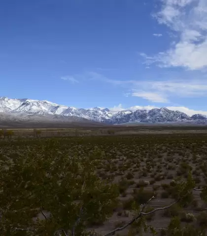 Mendoza en invierno acompa�a los viajes lentos.