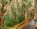 La clave est� en elegir planes acordes al ritmo del viaje.