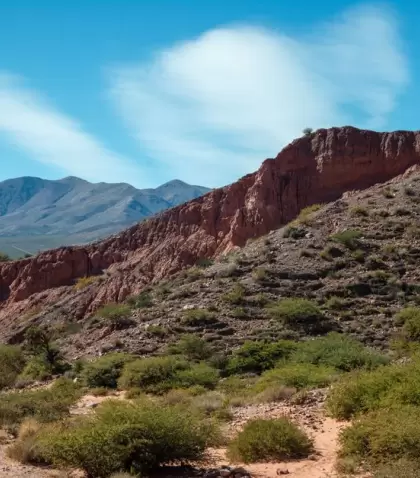 El invierno es una de las mejores �pocas para viajar a Jujuy.